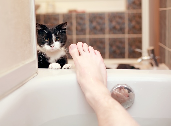 Katze an Badewanne Foto