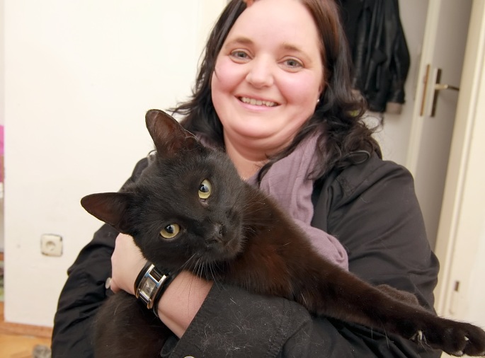 Katze im Arm Foto