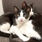 Rocky & Domino sind angekommen!