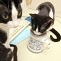 Durstige Katzen