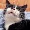 Morgendlicher Schnappschuss im Bett
