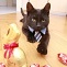 Frohe Ostern!